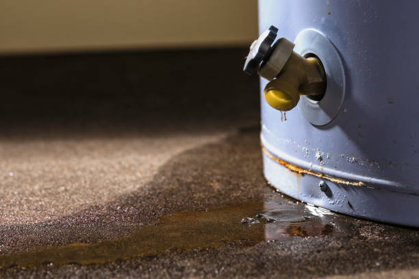 Best Water damage restoration near me  in Myers Corner, NY
