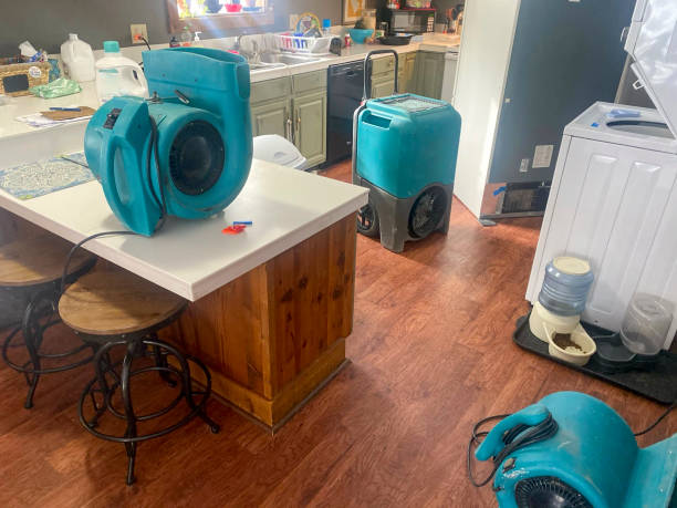 Best Water damage cleanup near me  in Myers Corner, NY