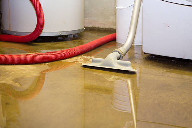  Myers Corner, NY Water damage restoration Pros