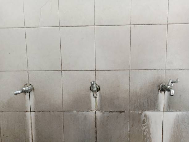 Best Water damage restoration near me  in Myers Corner, NY